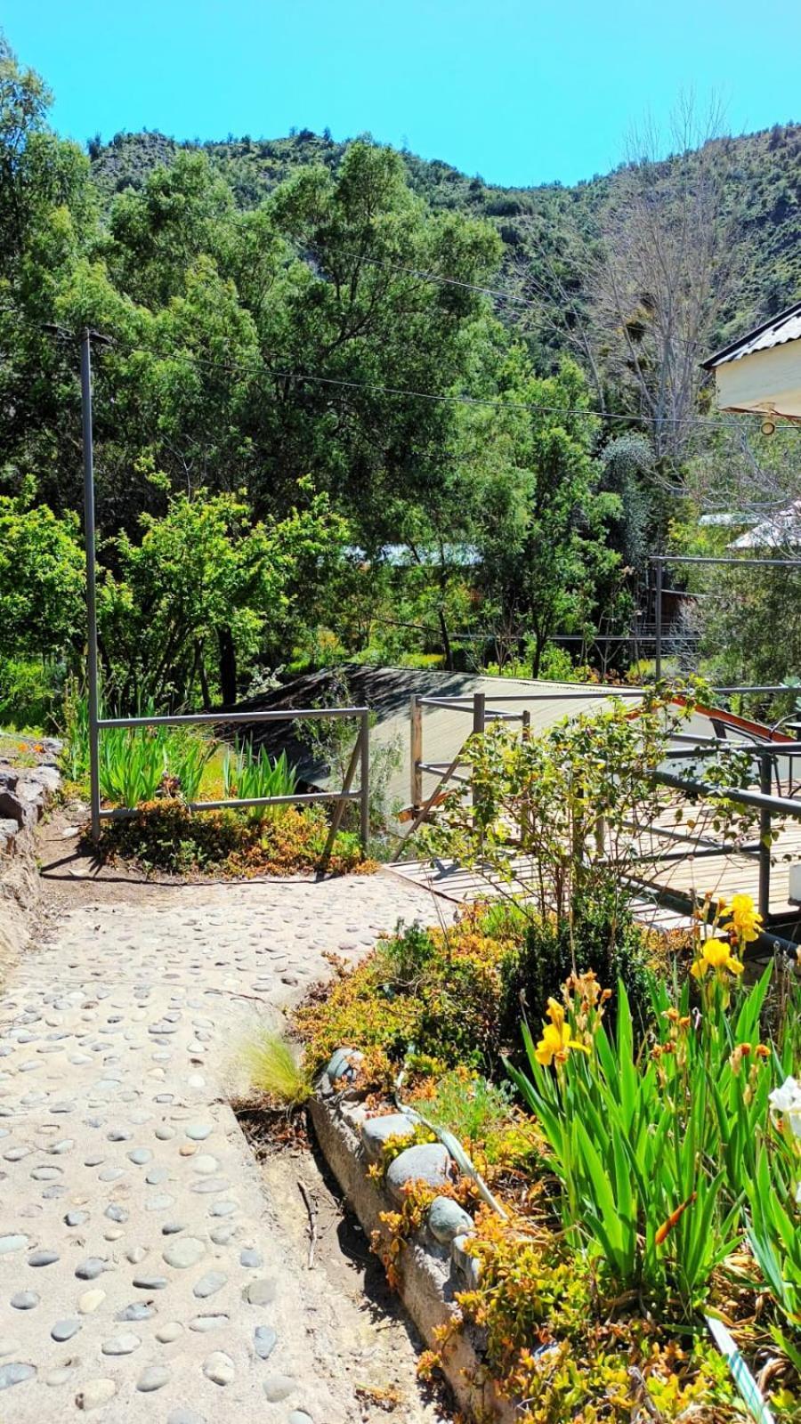 Hostal Los Penones San Alfonso Εξωτερικό φωτογραφία