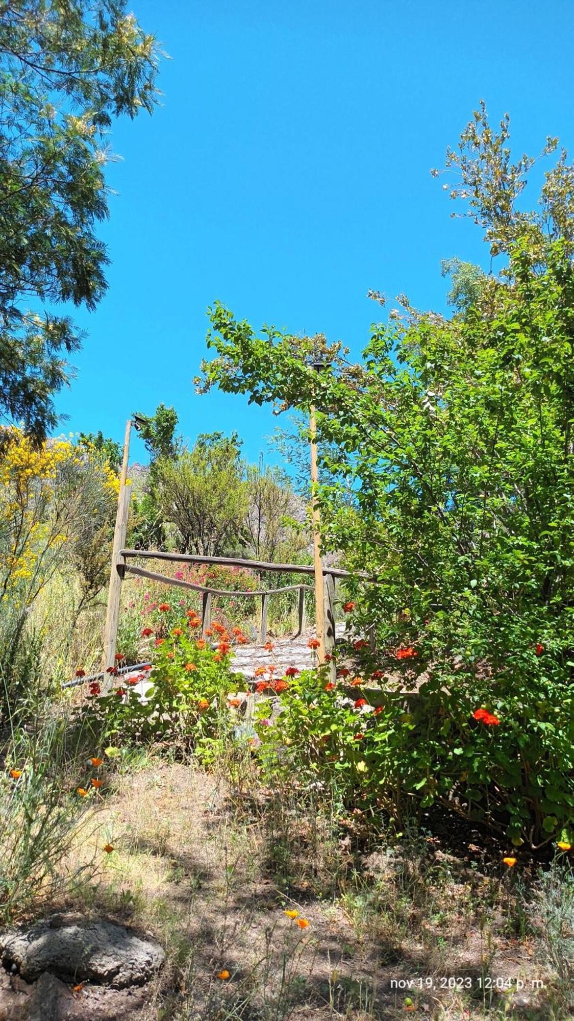 Hostal Los Penones San Alfonso Εξωτερικό φωτογραφία
