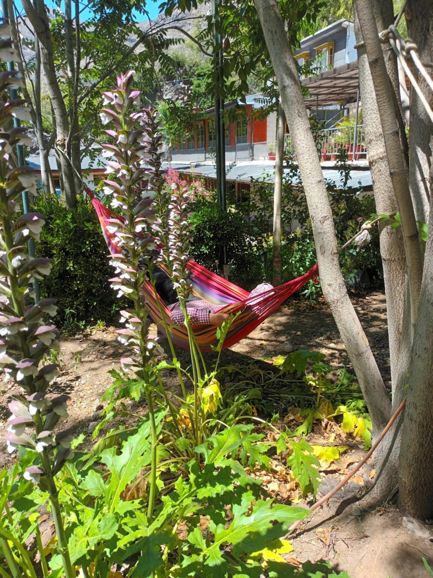 Hostal Los Penones San Alfonso Εξωτερικό φωτογραφία