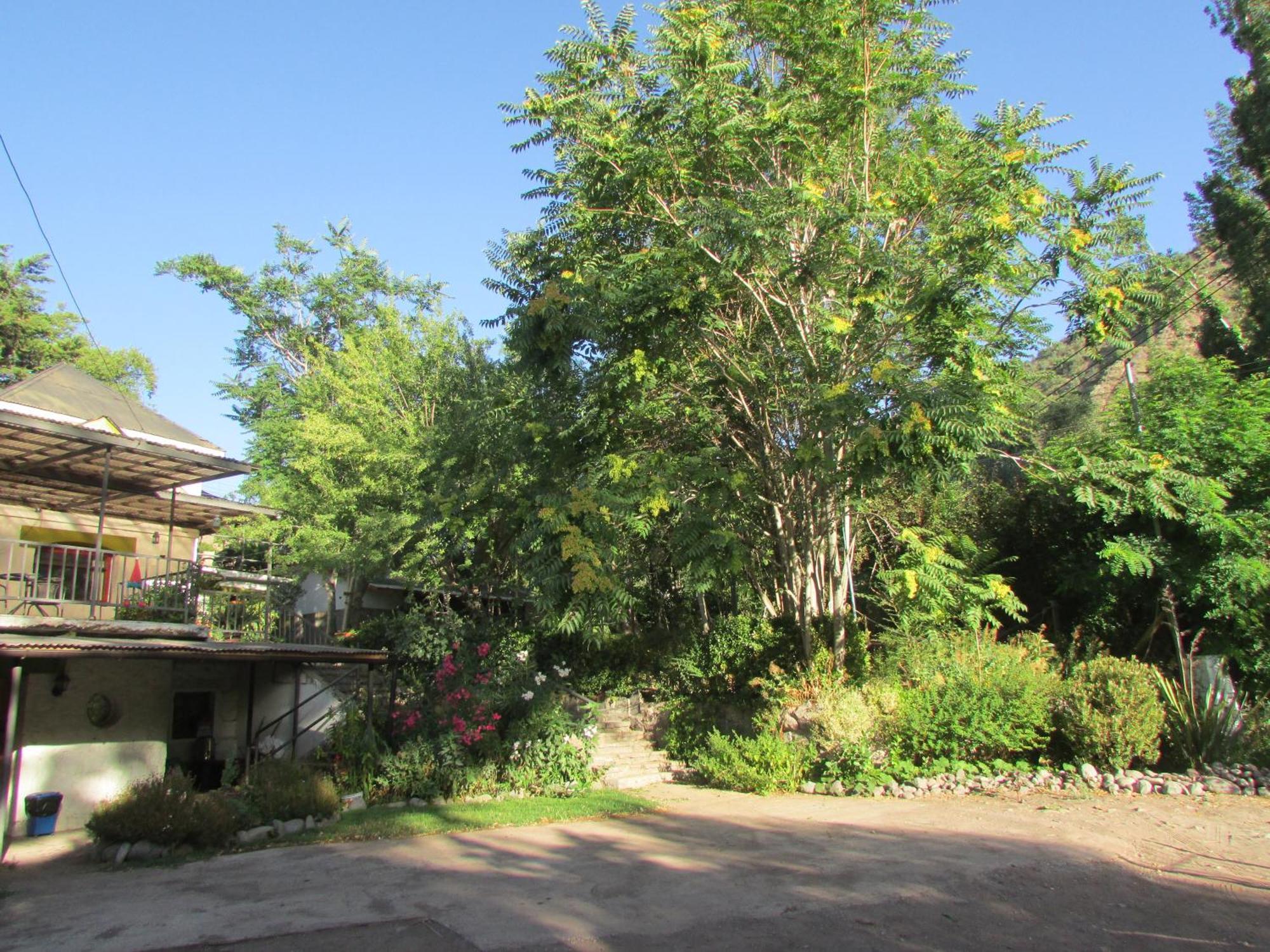 Hostal Los Penones San Alfonso Εξωτερικό φωτογραφία