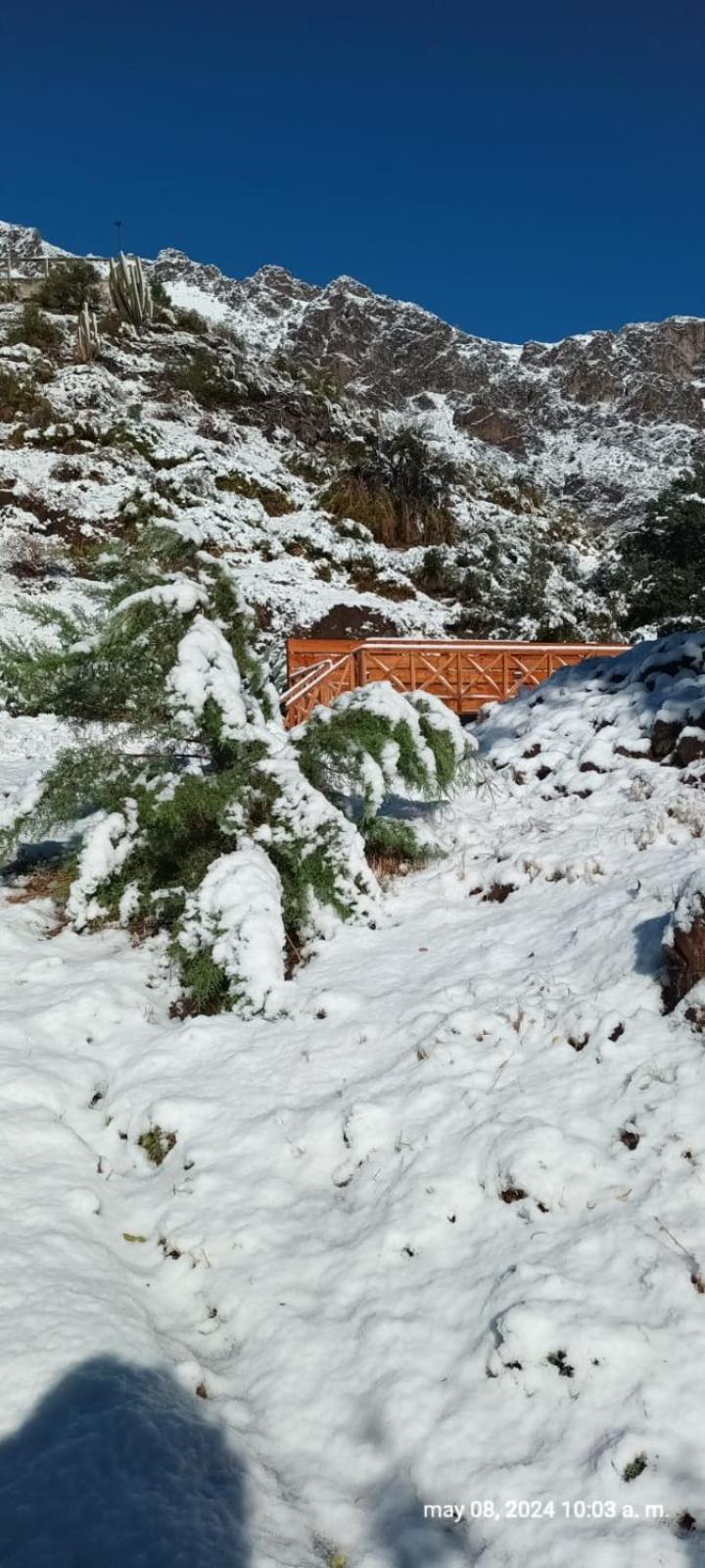 Hostal Los Penones San Alfonso Εξωτερικό φωτογραφία